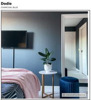 Dodie - Charcoal Blue - Coat Paint